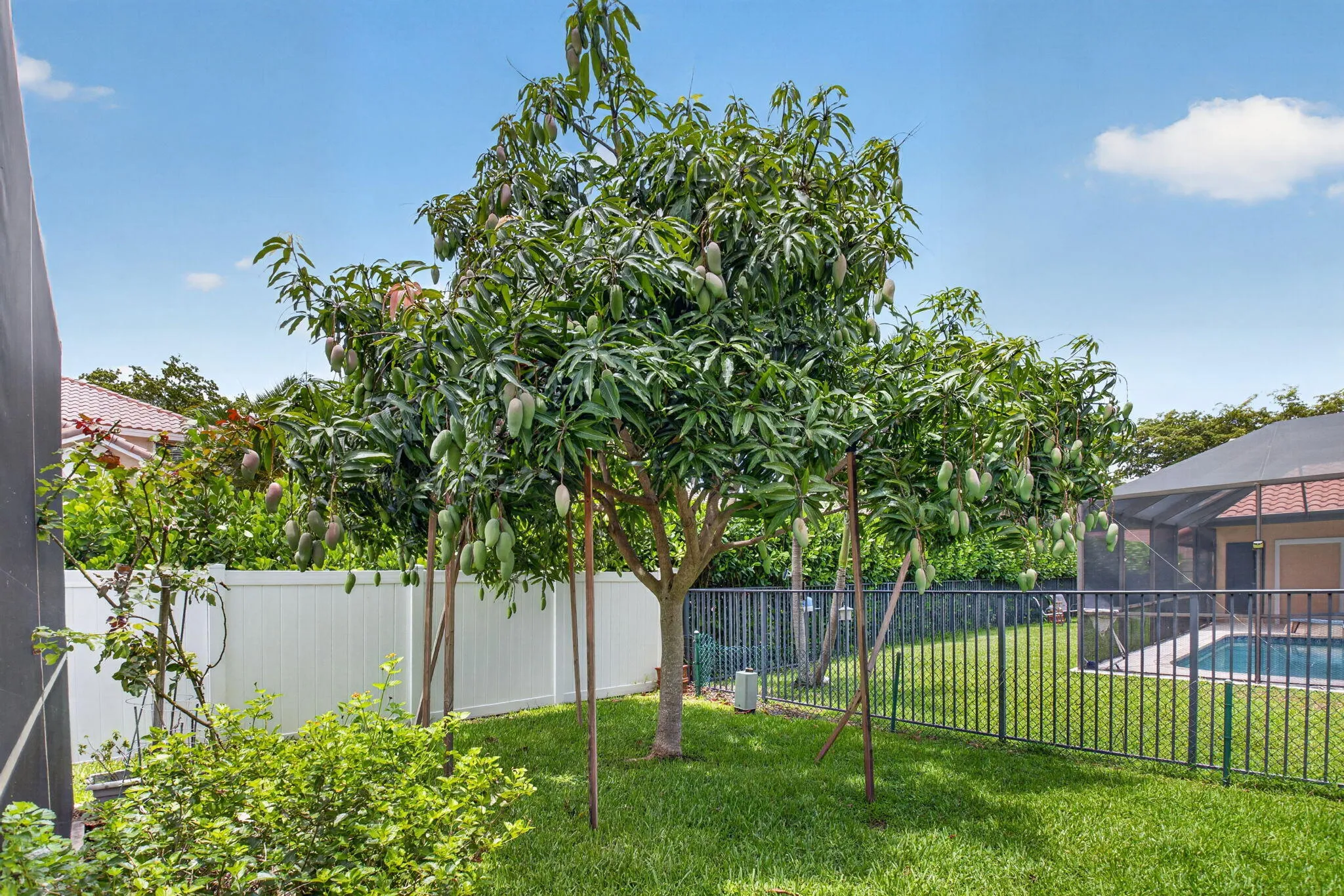 Property photo 48