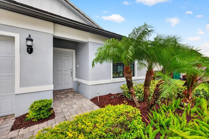 4-web-or-mls-699A4277