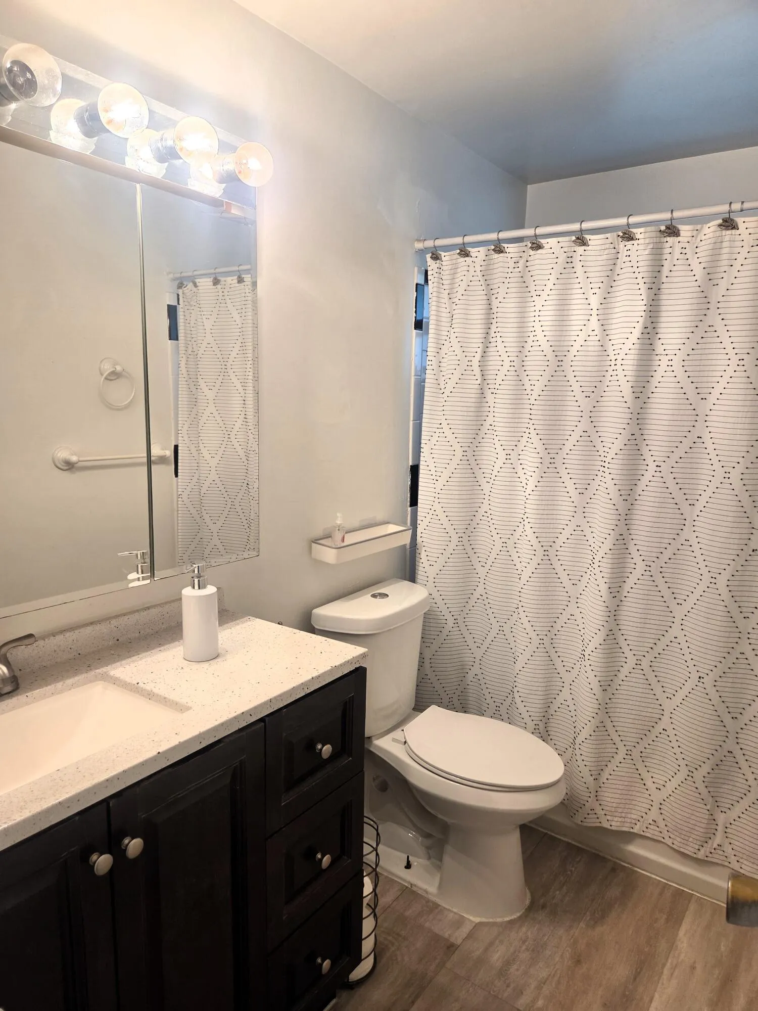 main bath w vinyl plank floors