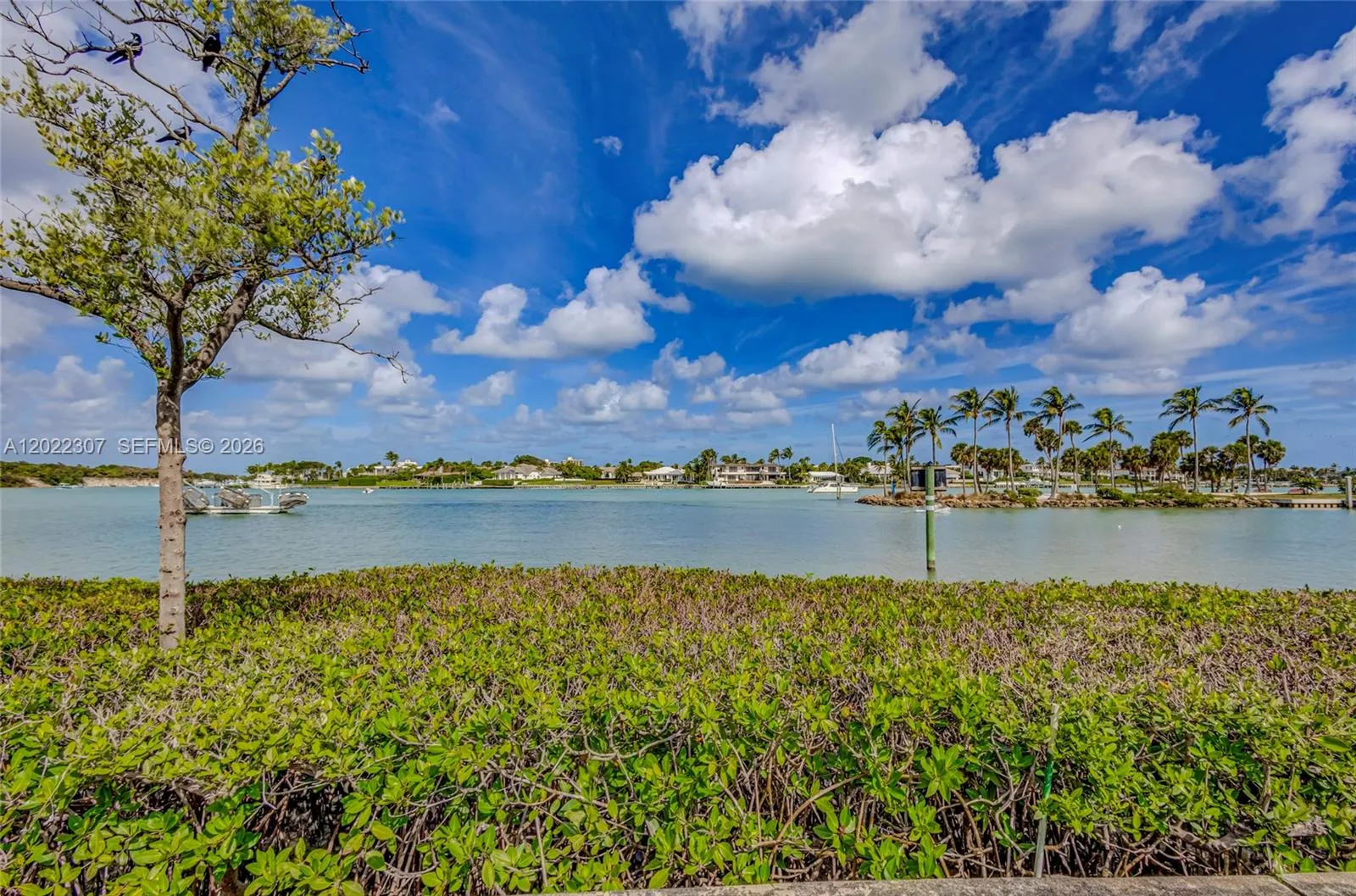 view of the inlet from the 800’ on the water