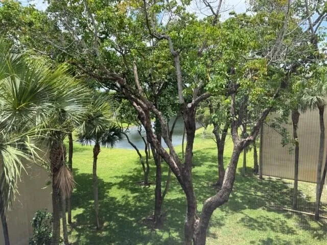 PIC1