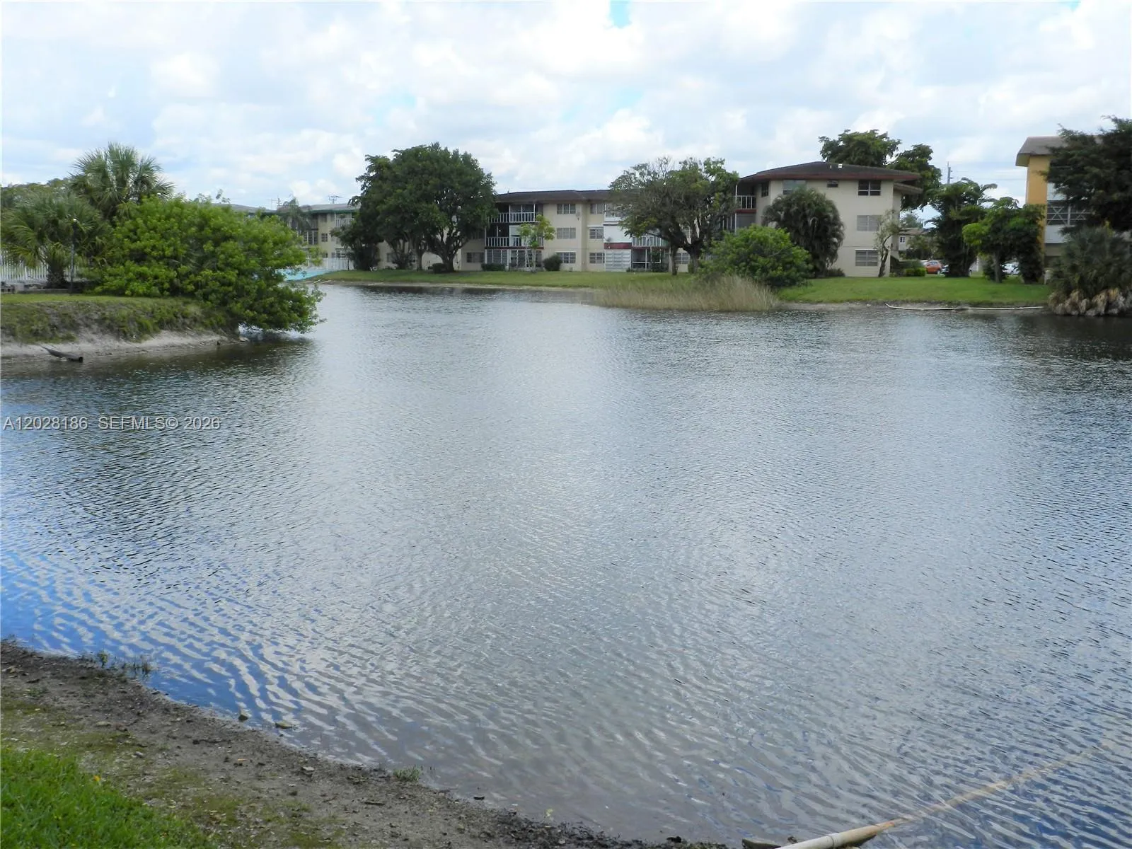 Lake view