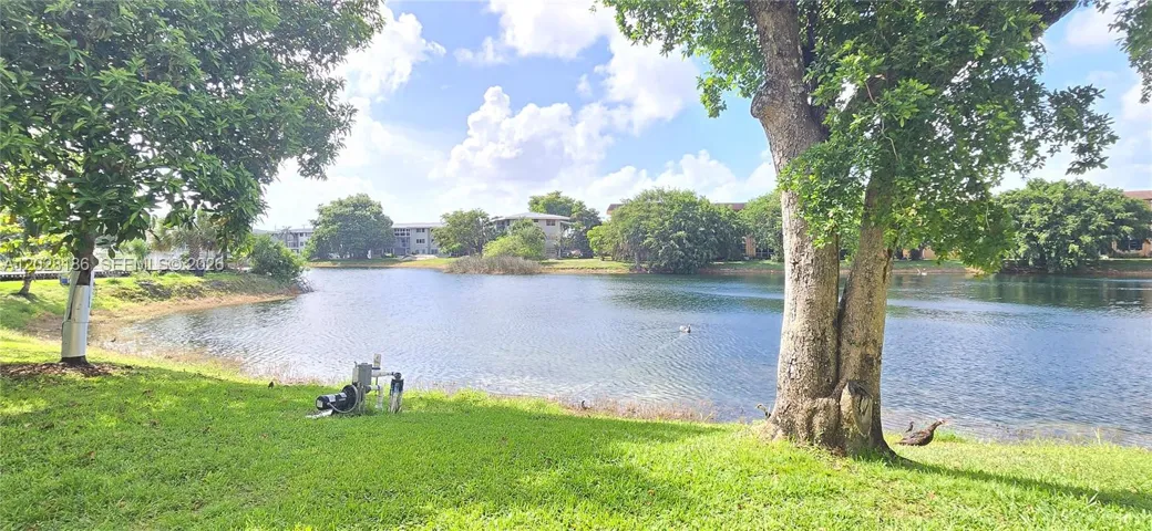 Lake view