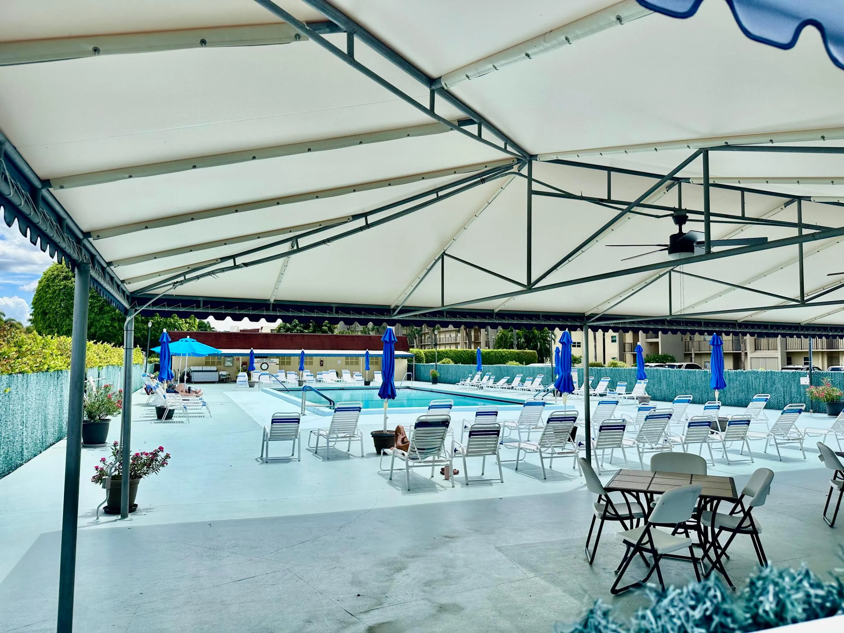 Deck of Pool