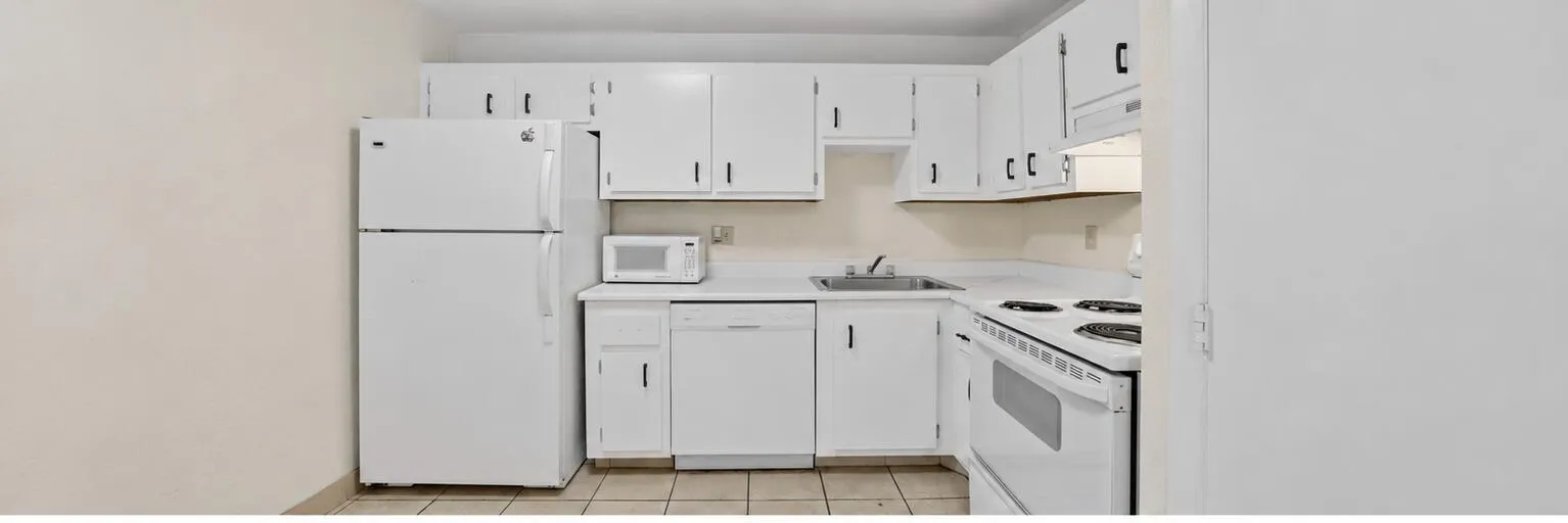 kitchen_with_dishwasher_photo1