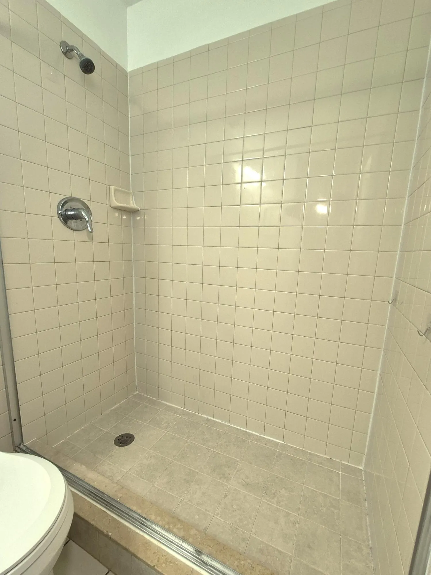 Primary bathroom shower