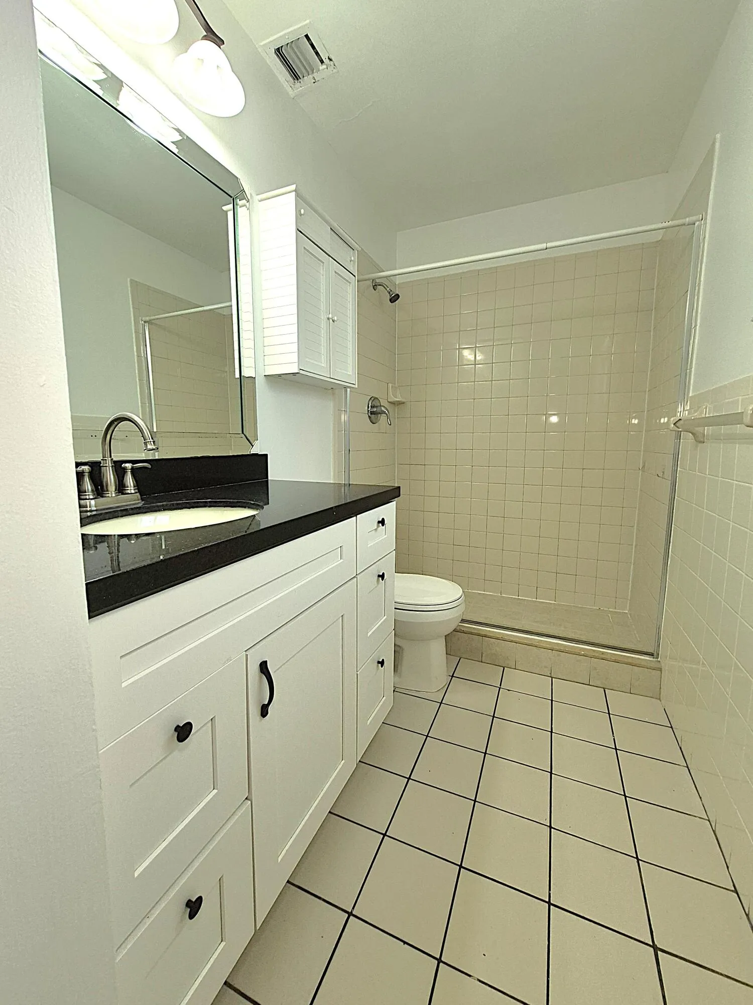 Primary bathroom view