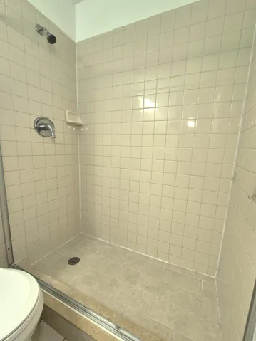 Primary bathroom shower