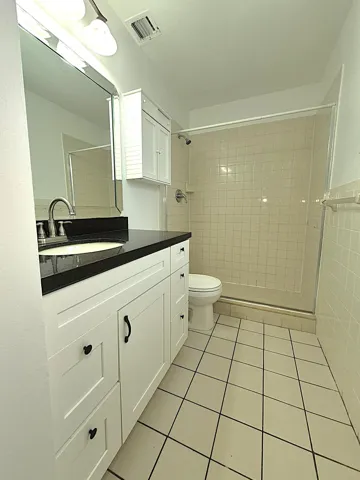 Primary bathroom view