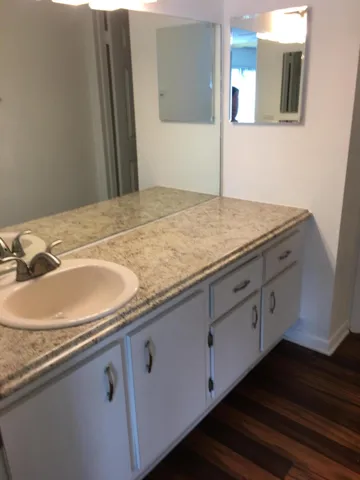 Master Bath Vanity