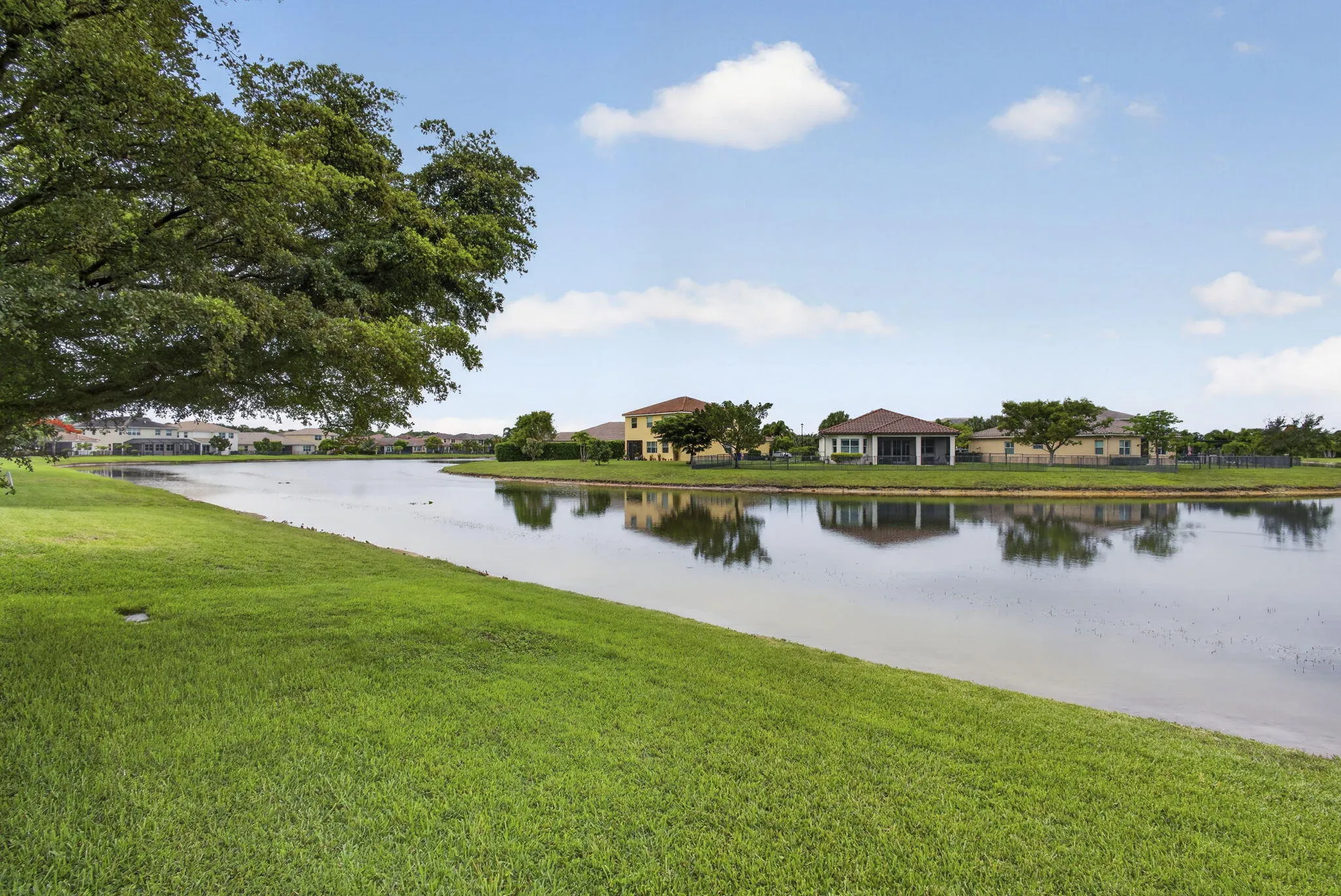 63-web-or-mls-BS1A1418