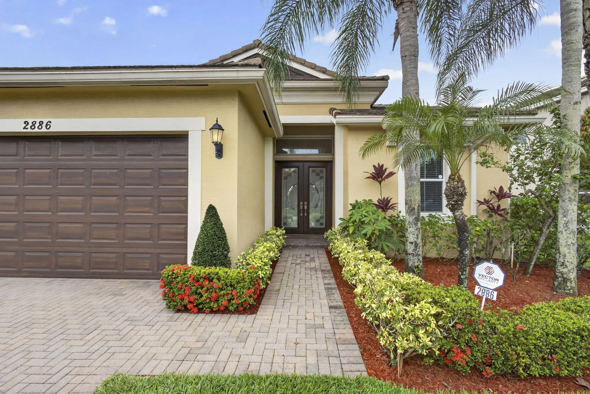 5-web-or-mls-BS1A1125