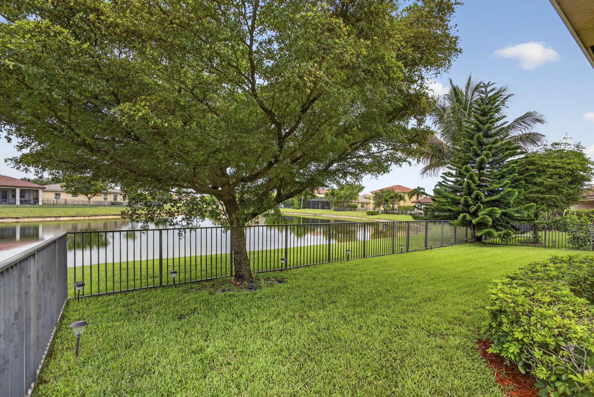 60-web-or-mls-BS1A1403