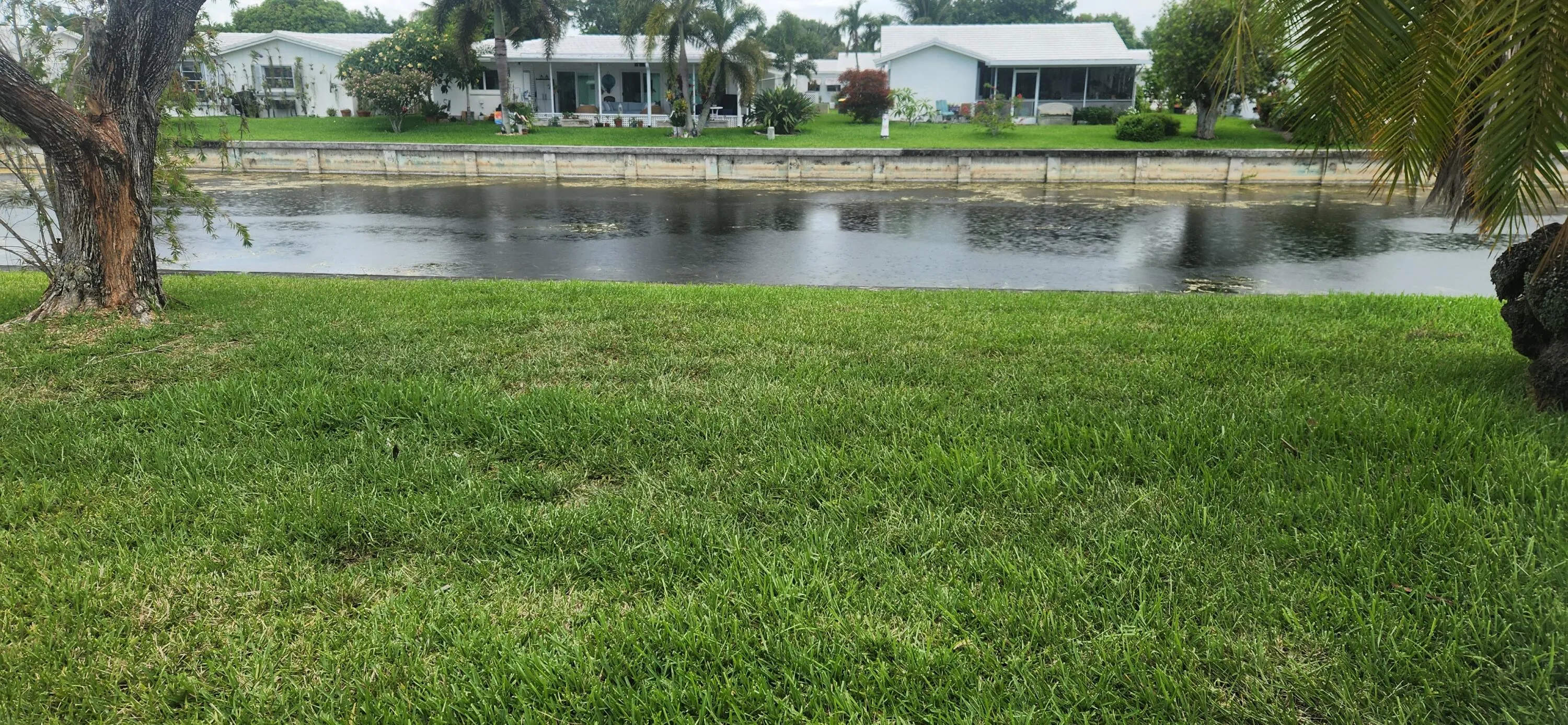 Backyard on canal