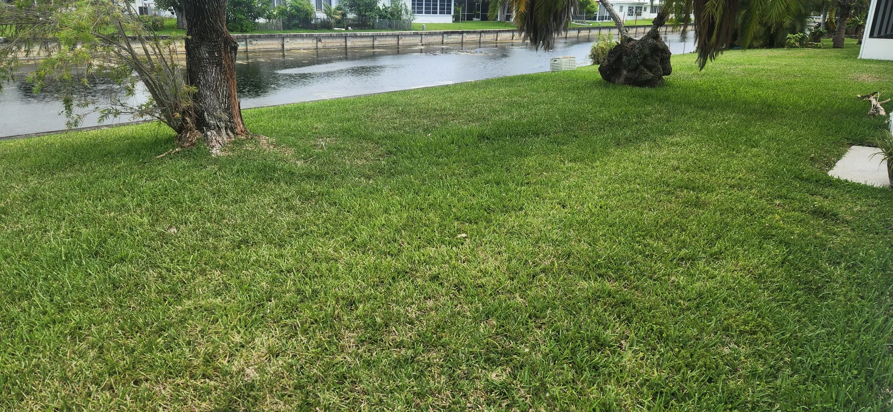Backyard on canal