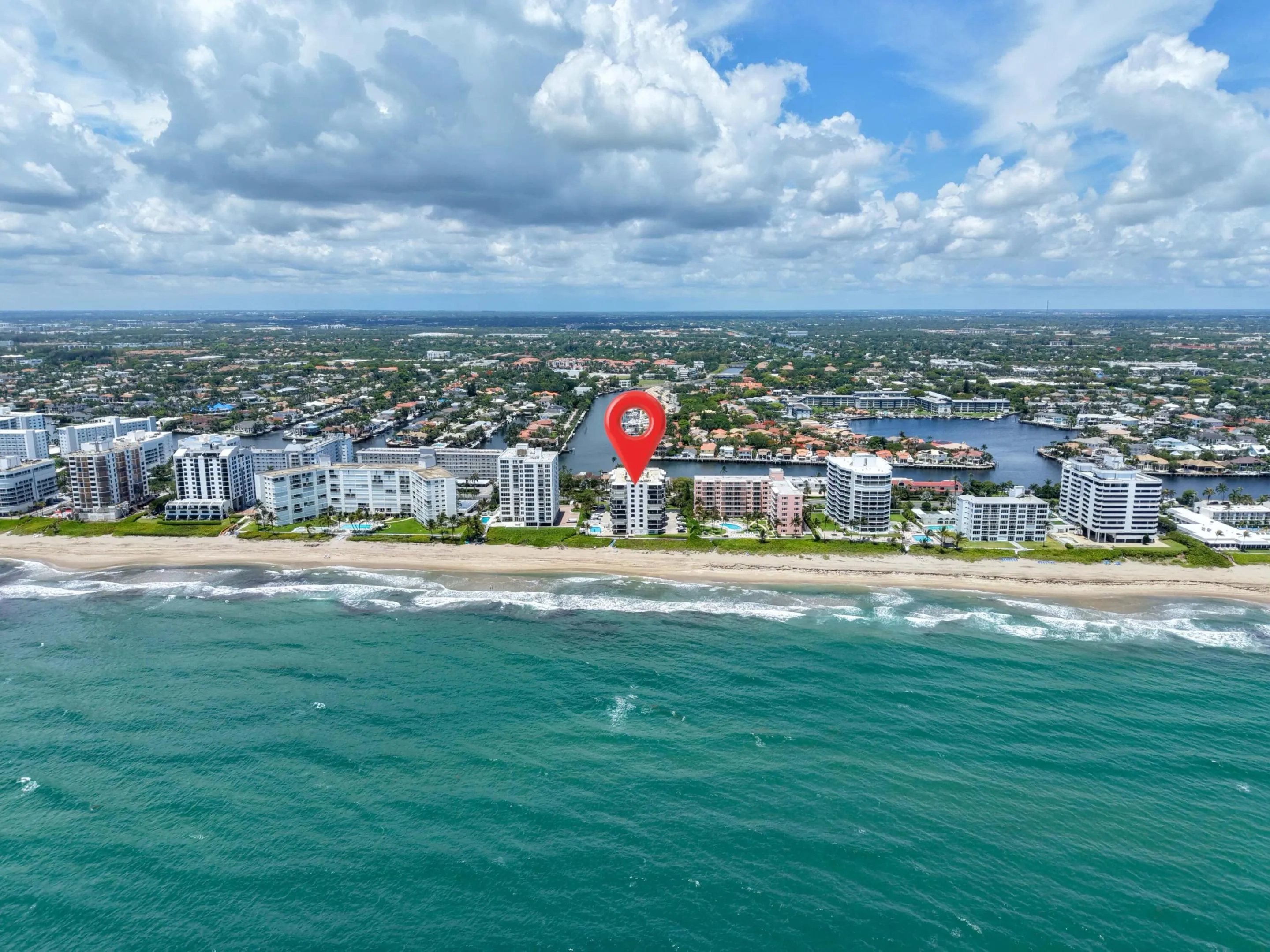 Bird Eye From Ocean