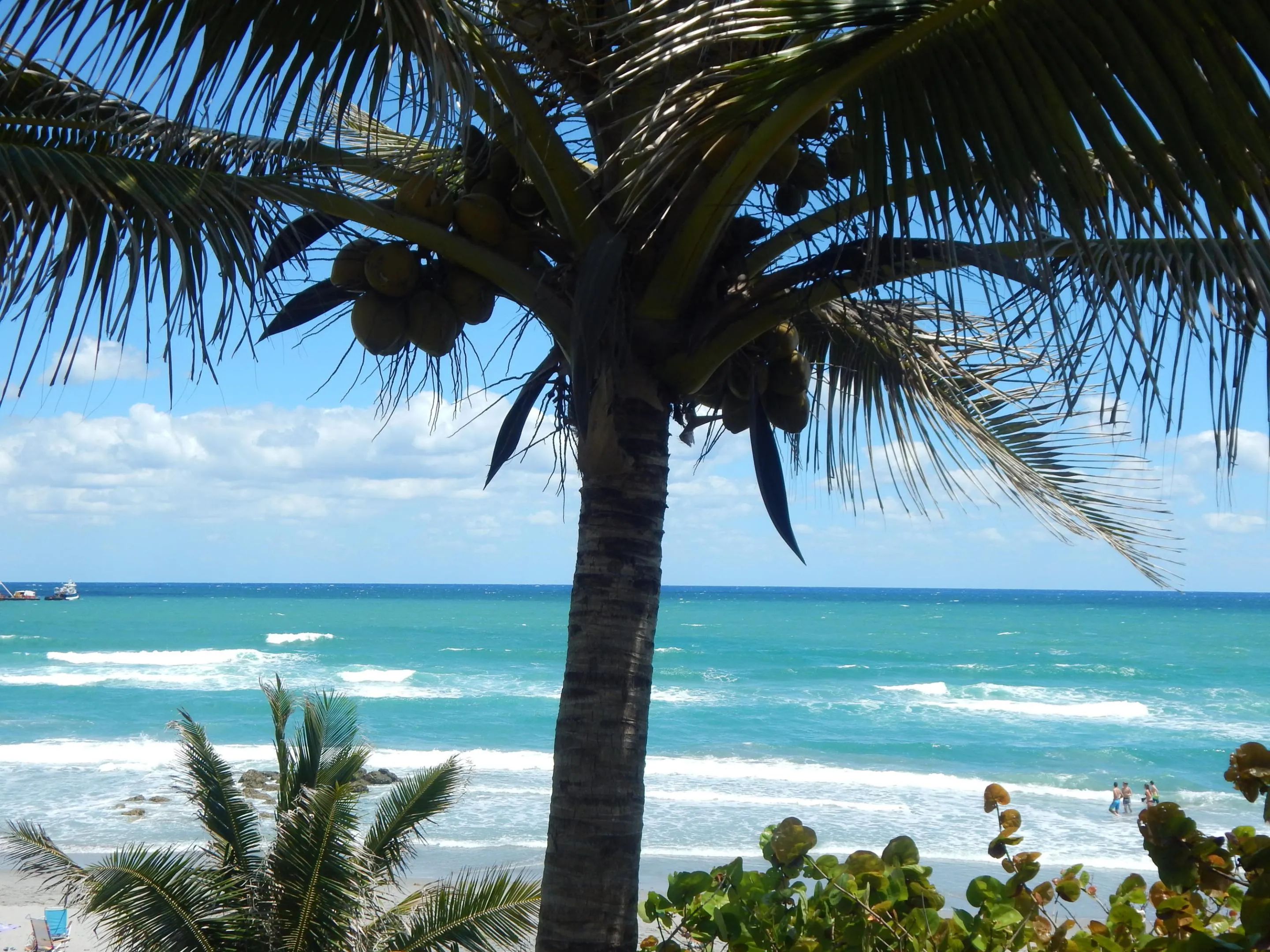 Approximately 6.5 miles from Boca Beaches Boca Raton Home For Rent Marbella Lakes Boca Del Mar