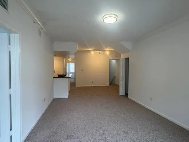 Living room / Dining room