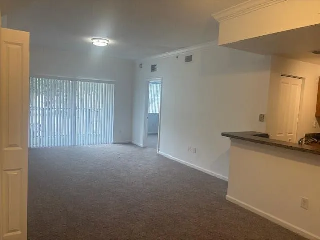 Living Room / Dining Room