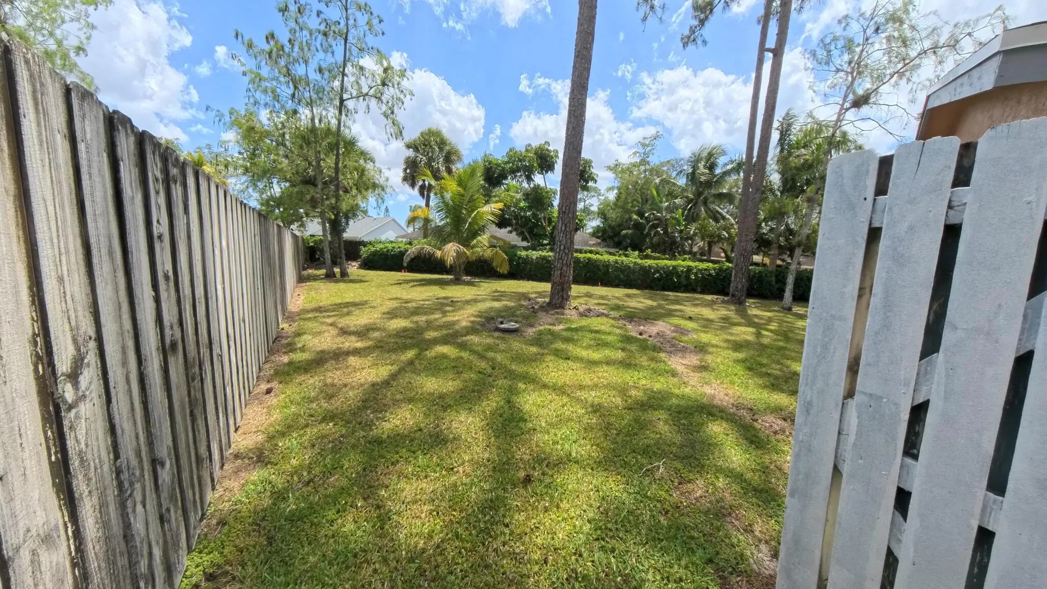 Backyard