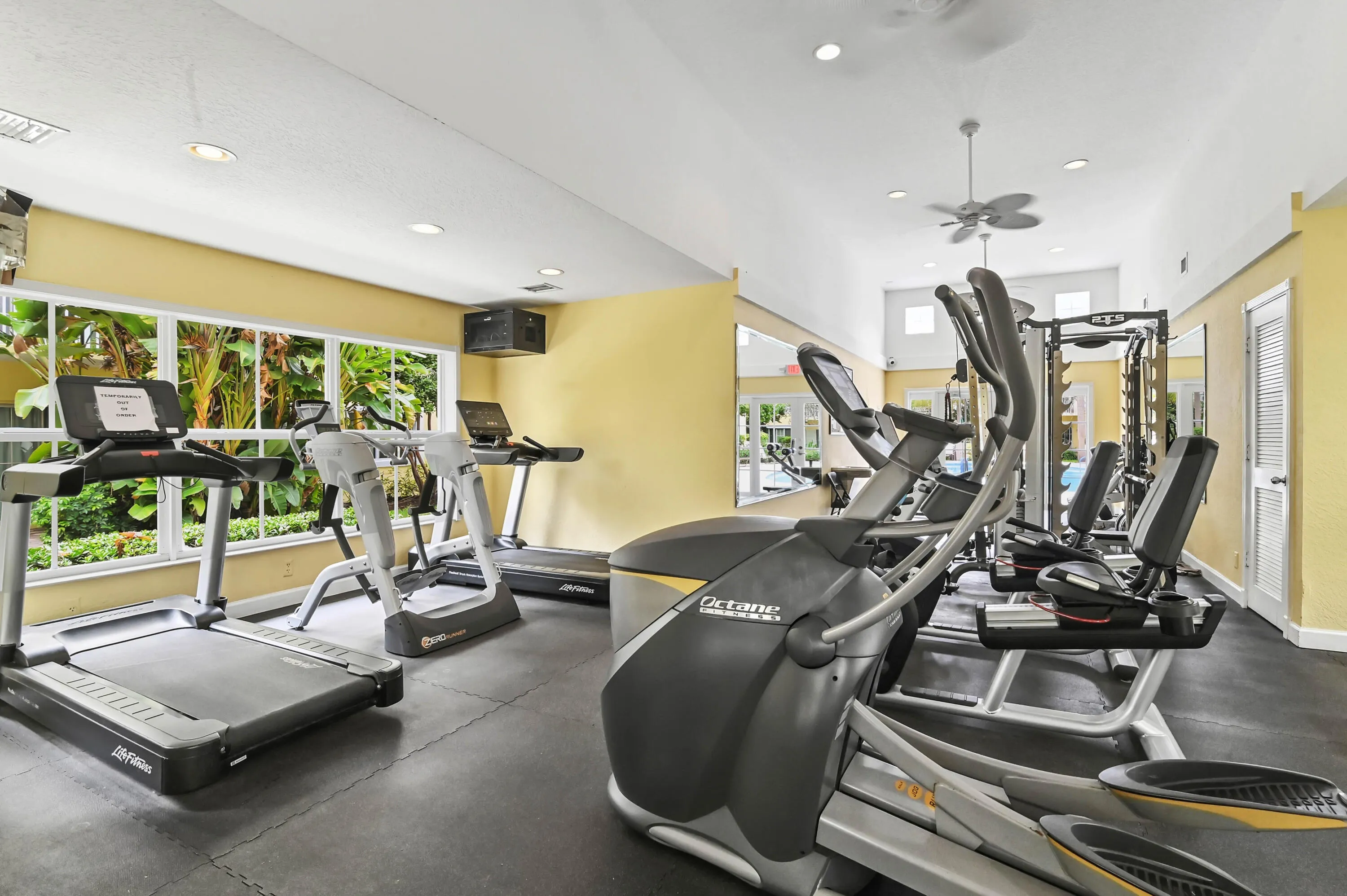 41 gym 02