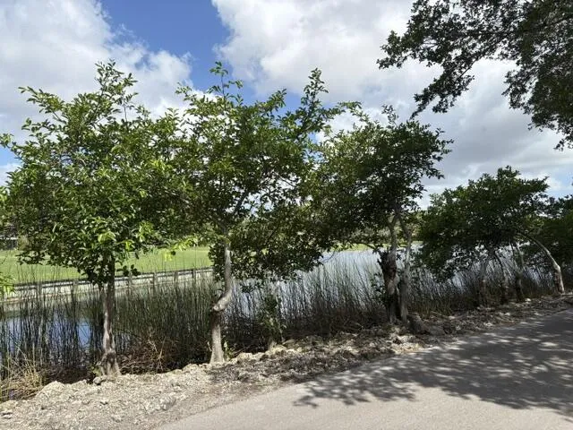 Lake & Golf Course