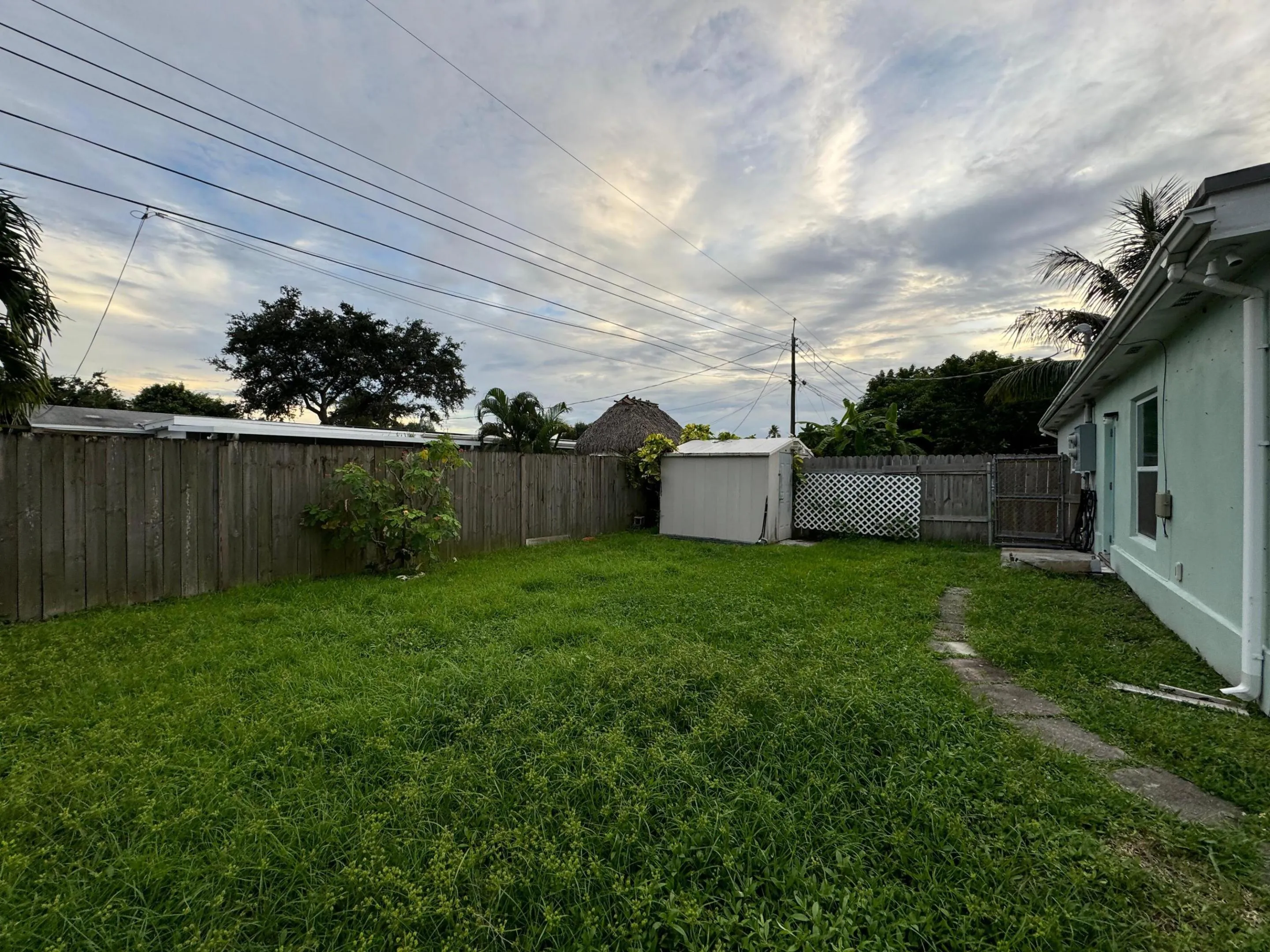 Backyard