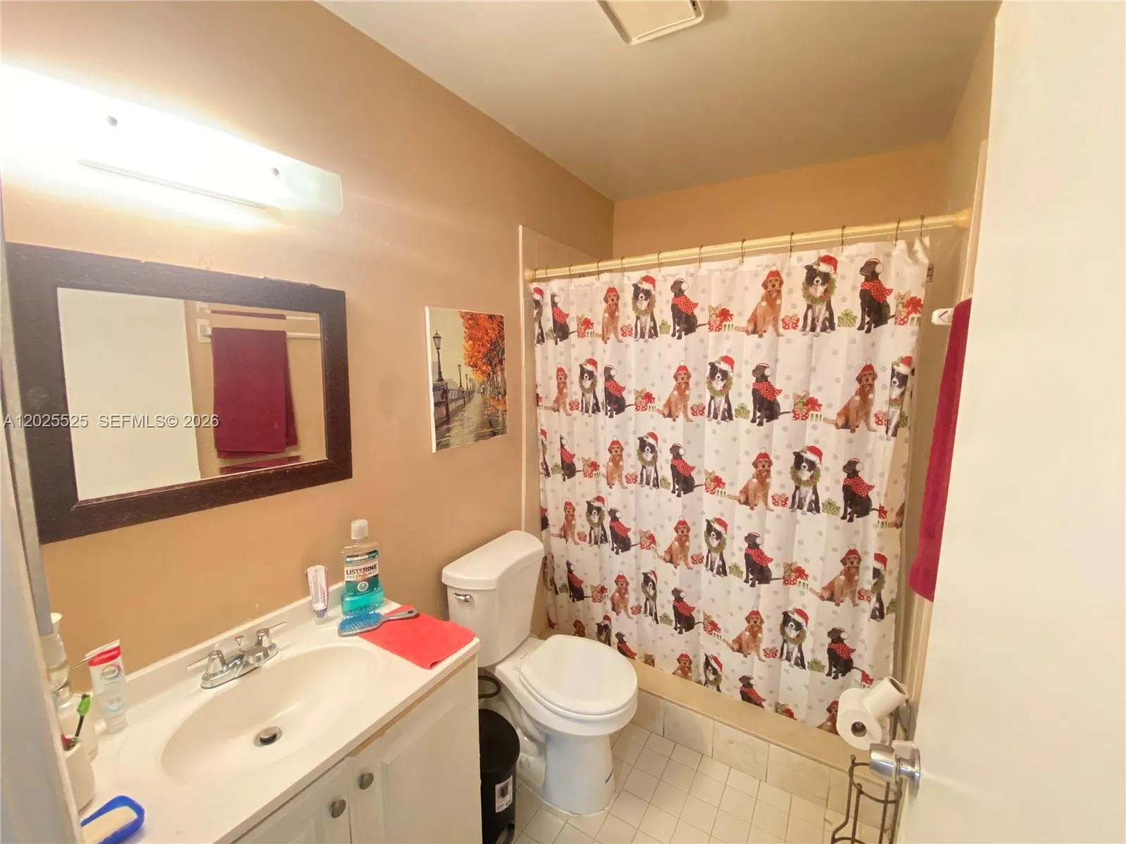 Photo 7