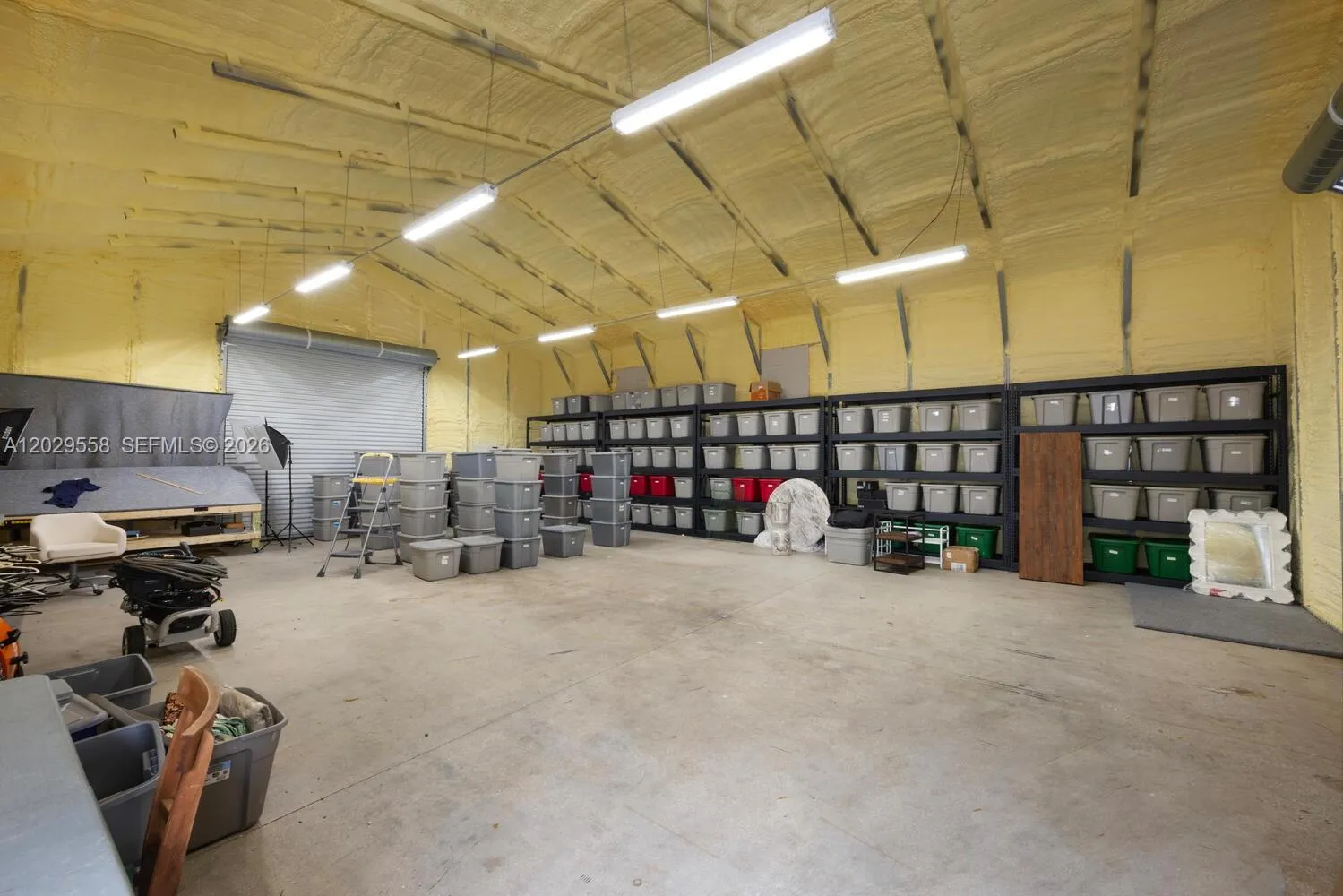 shed 1 inside
