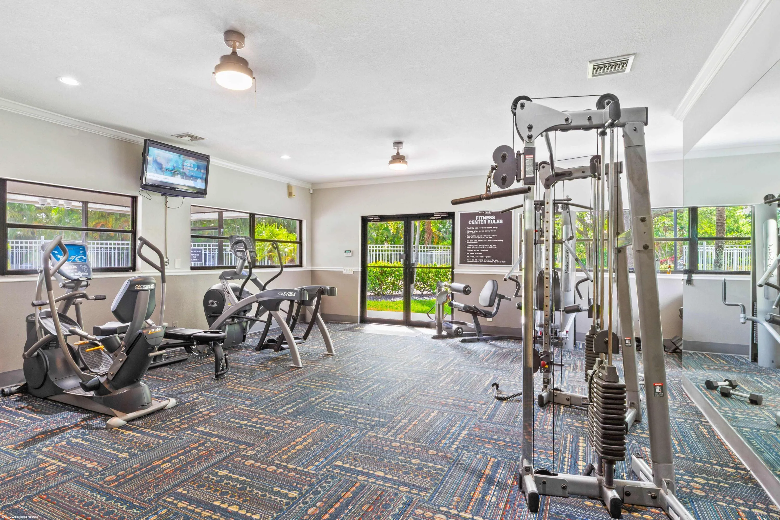 Palm Court Gym a AAP 2025