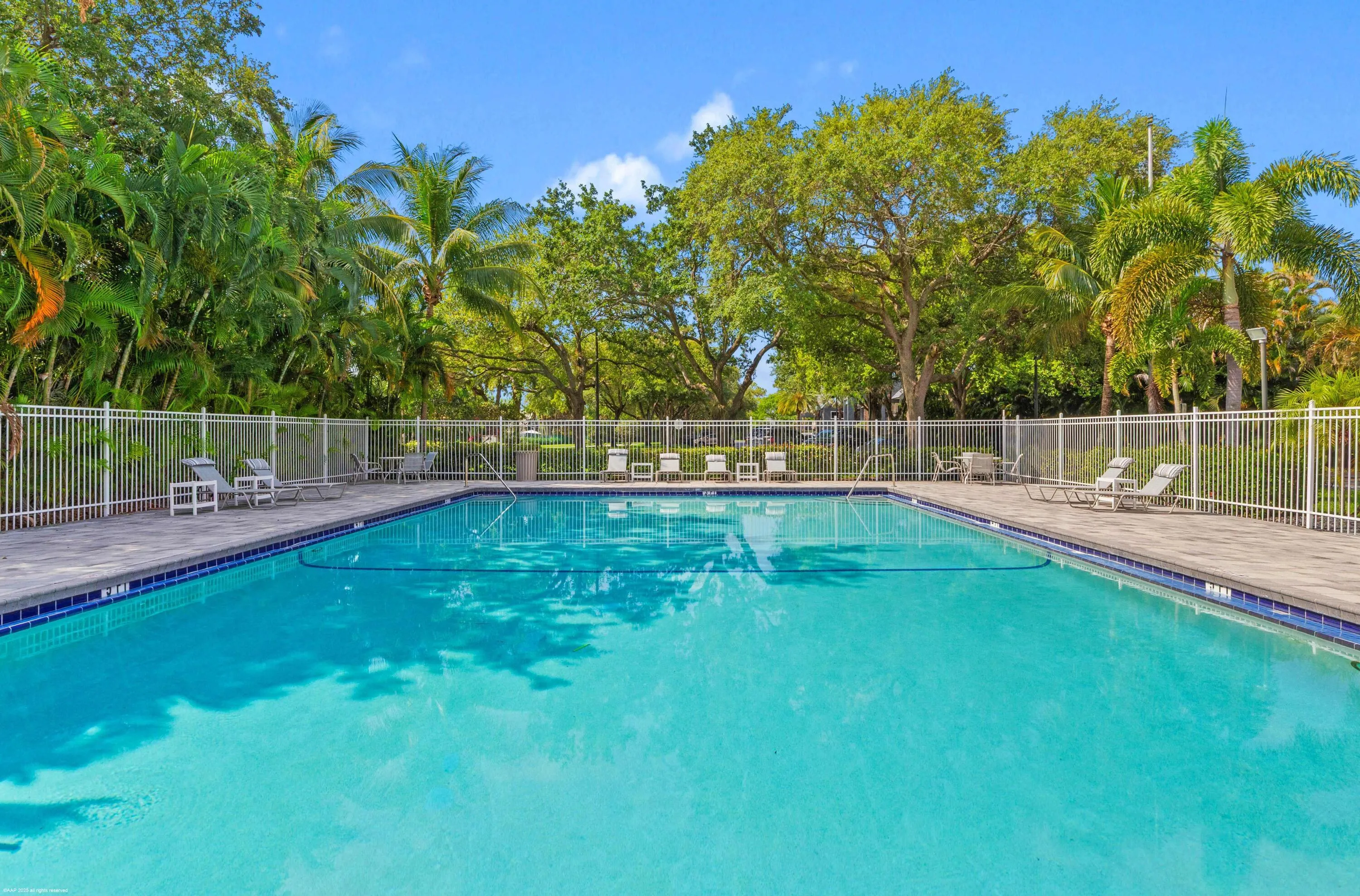 Palm Court Pool AAP 2025