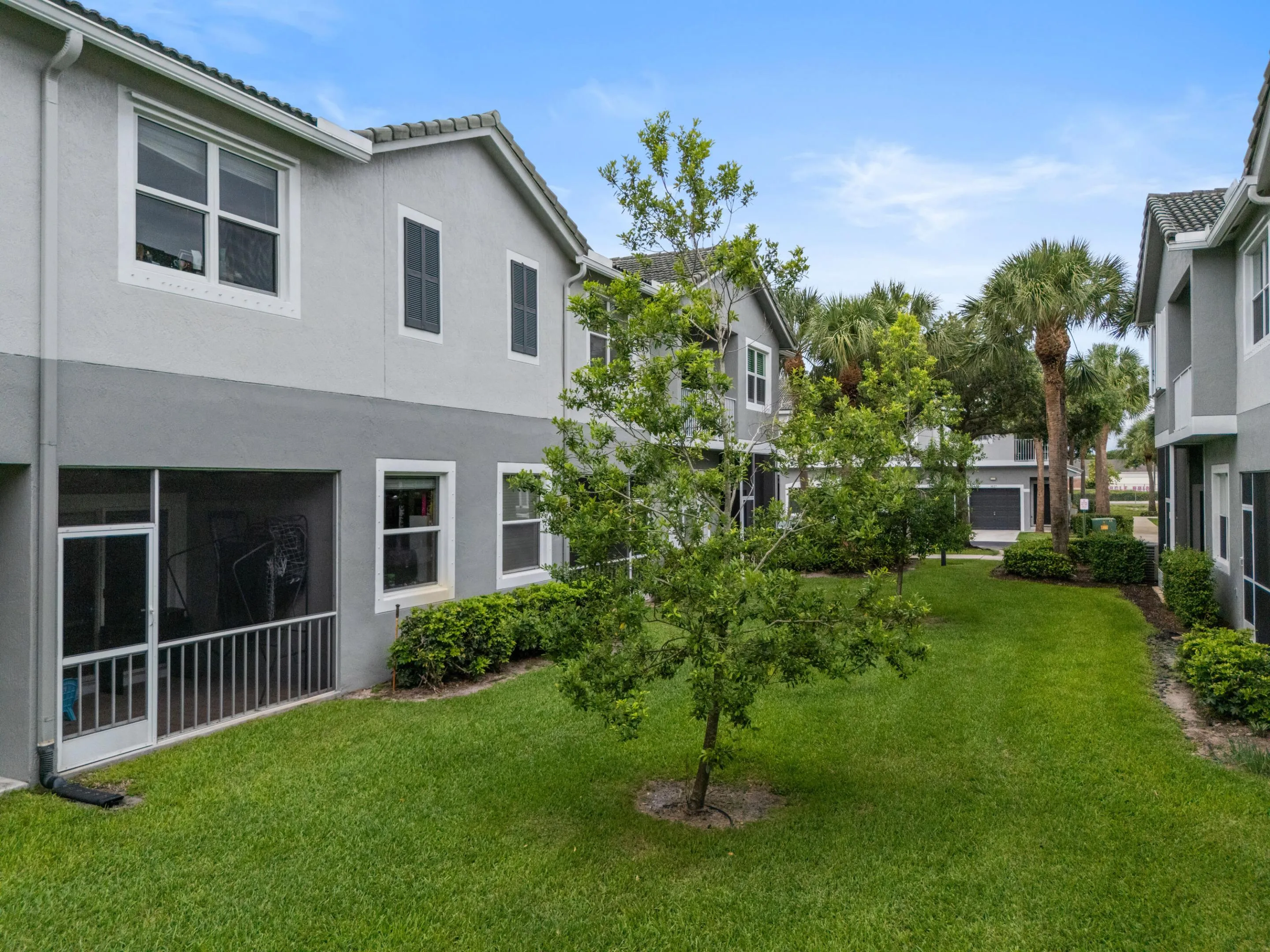 3122 Grandiflora DR-36