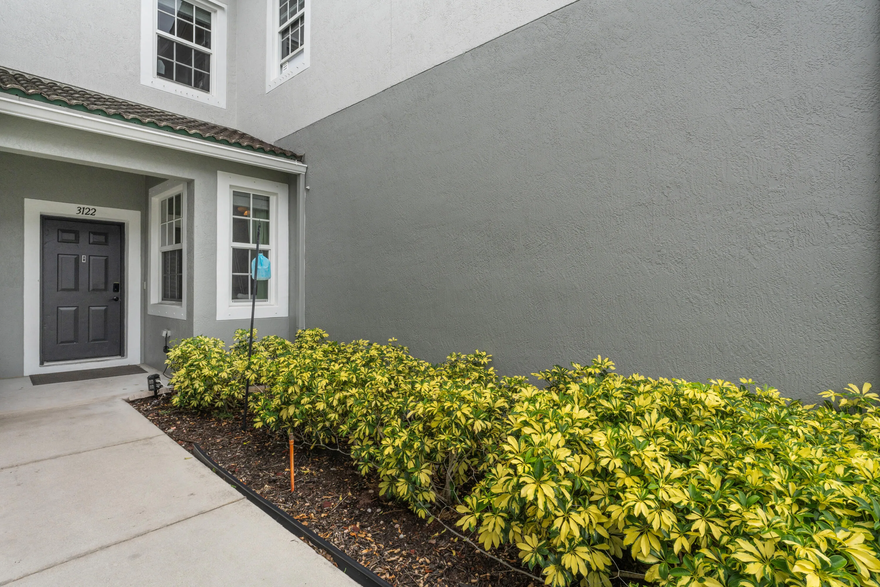 3122 Grandiflora DR-4