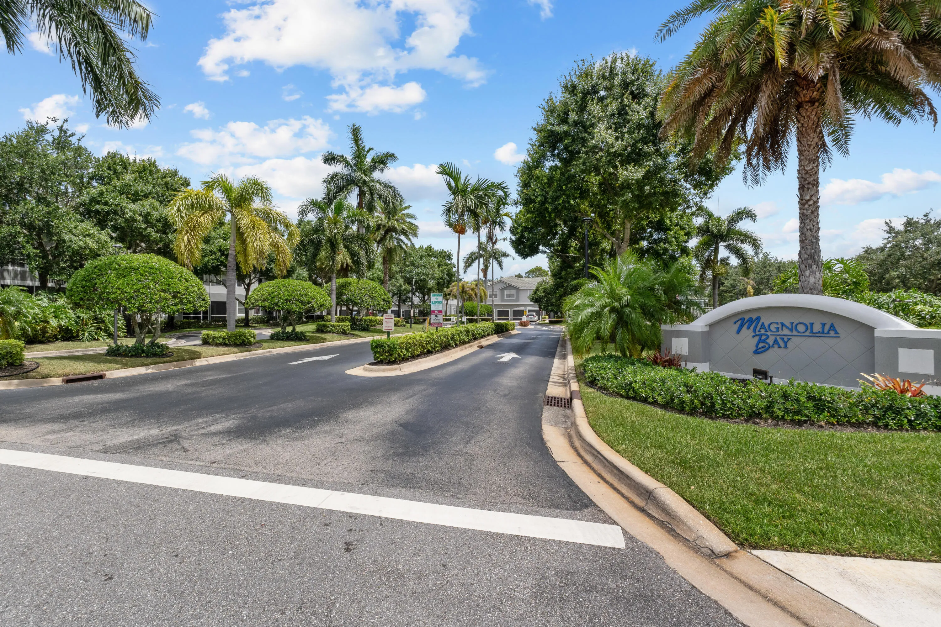 3122 Grandiflora DR-2