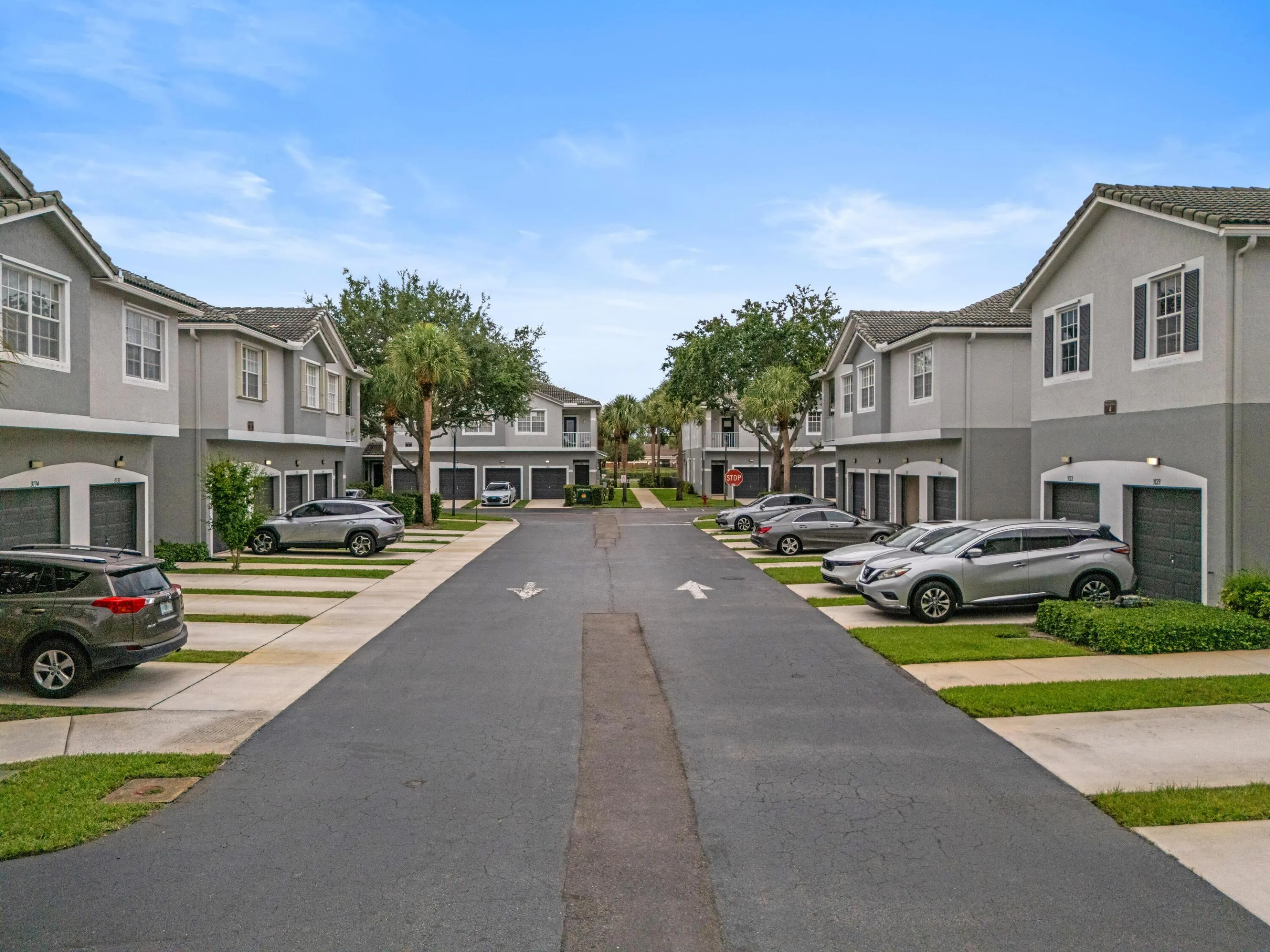 3122 Grandiflora DR-43