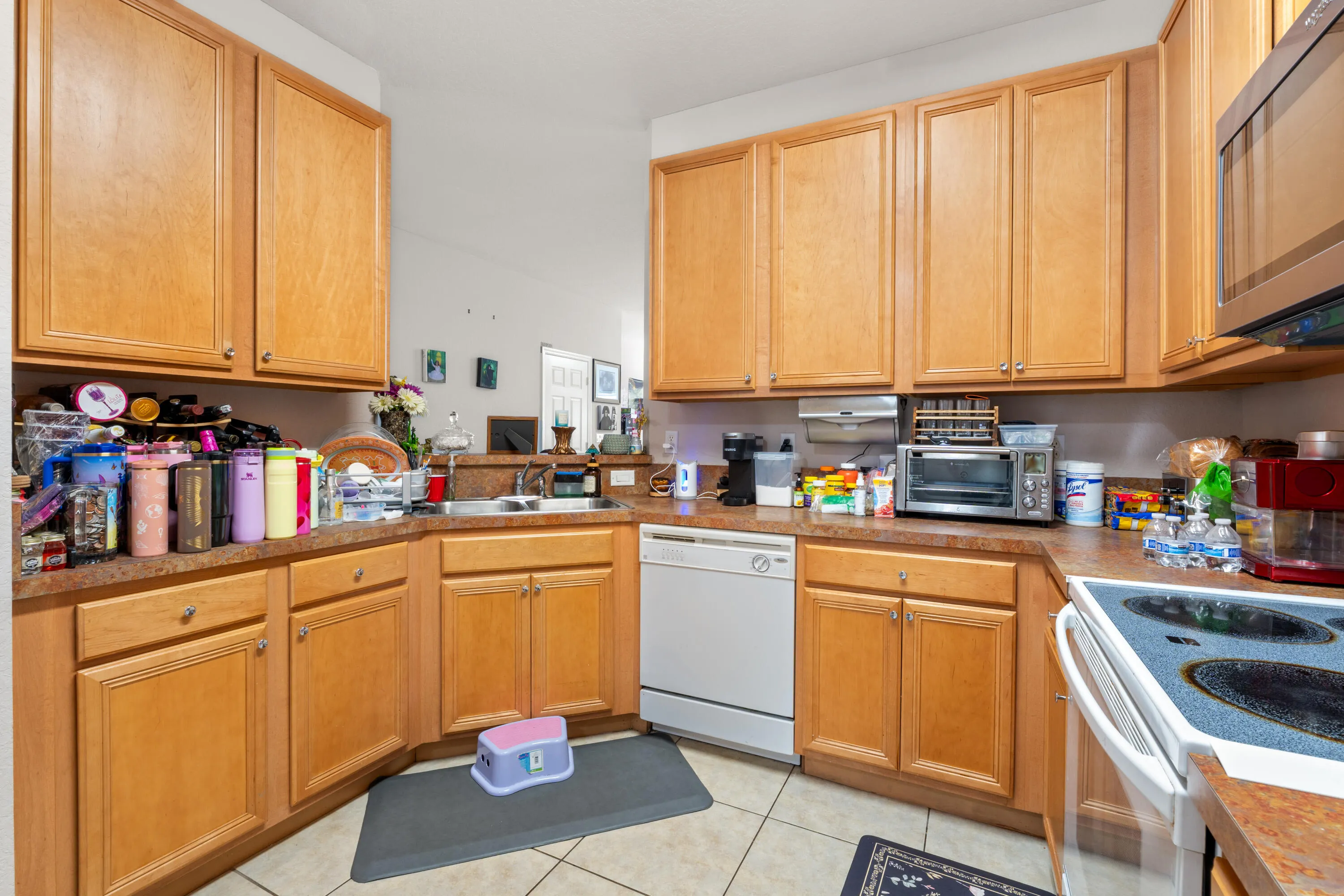 3122 Grandiflora DR-11