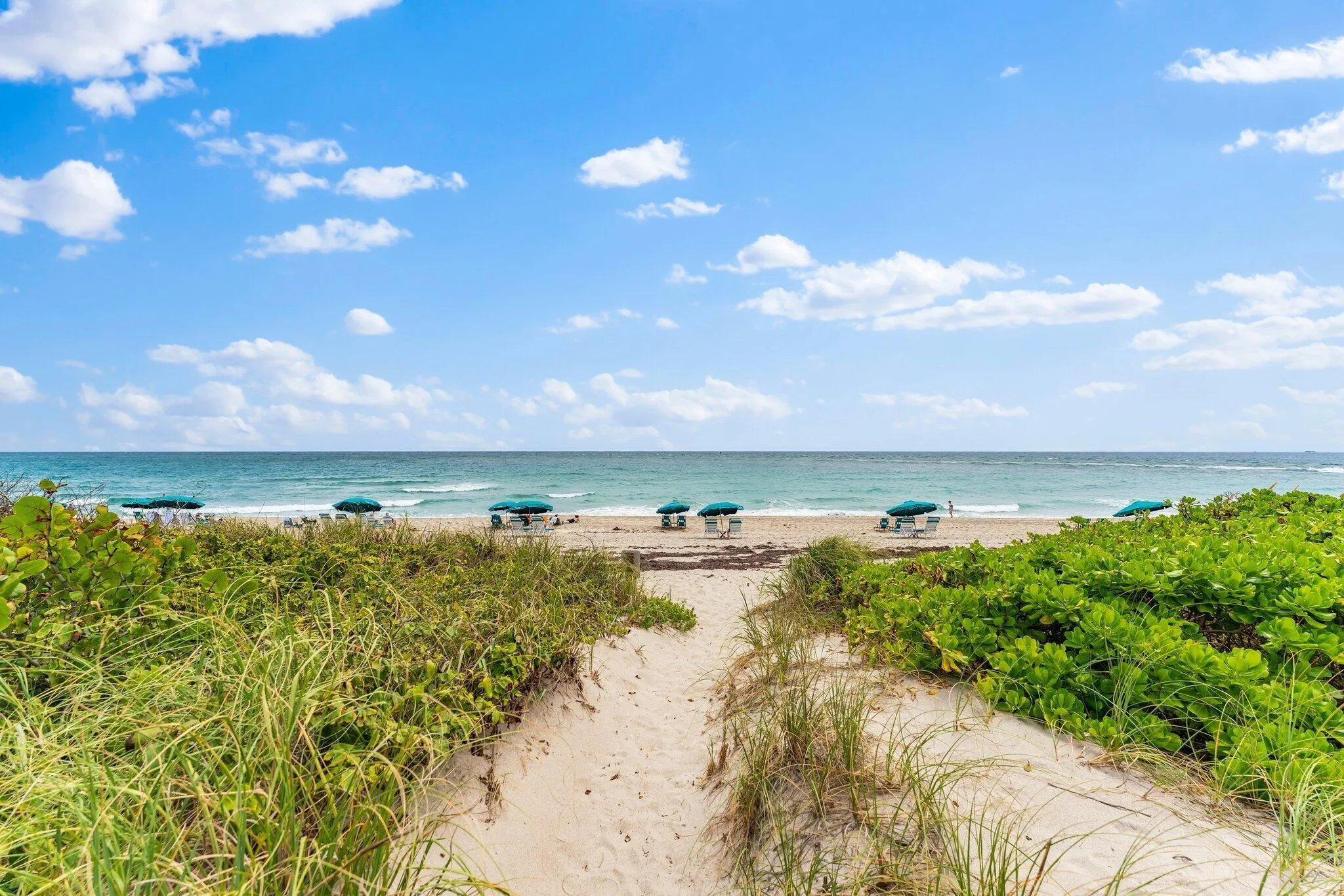 Beach Path