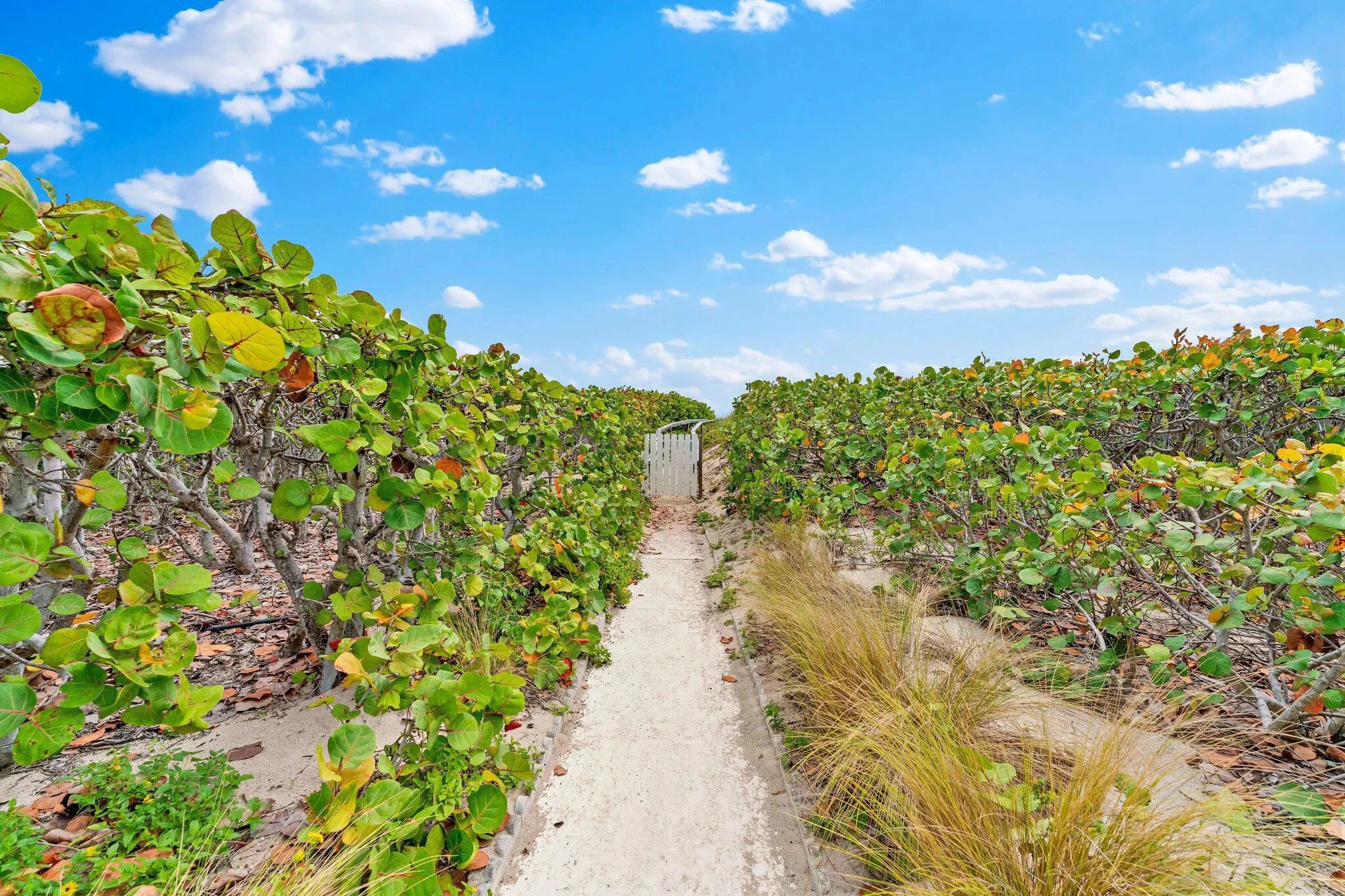 Beach Path