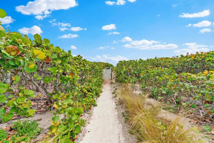 Beach Path