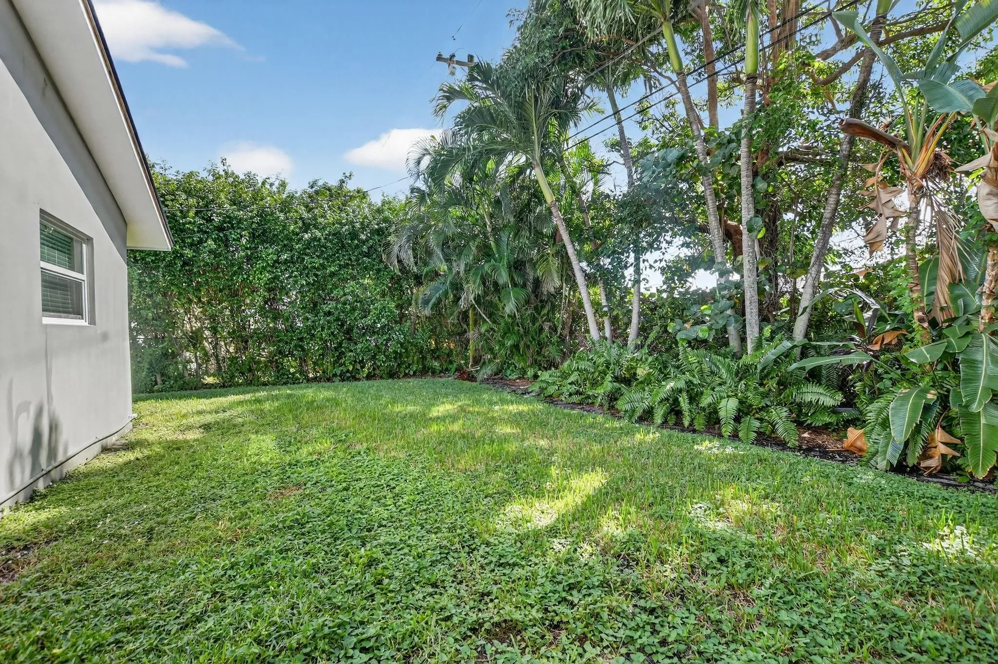 Side yard