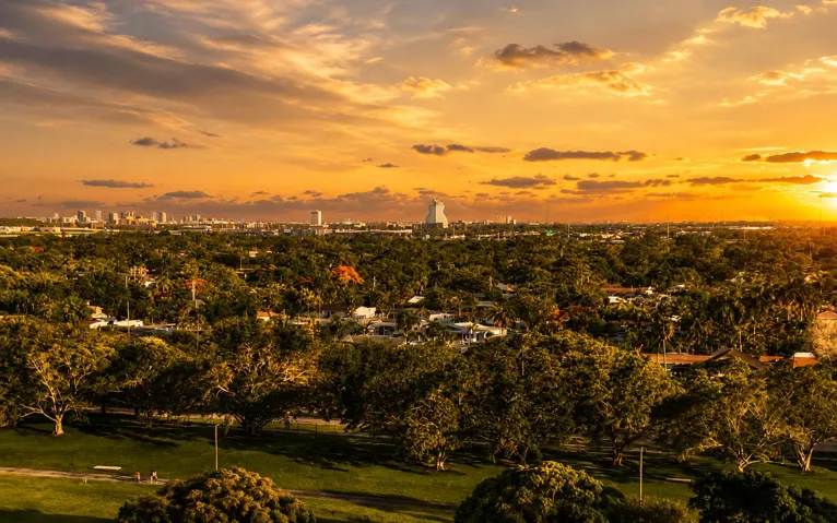 Neighborhood view