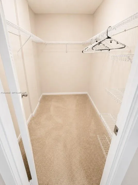 master walk-in closet