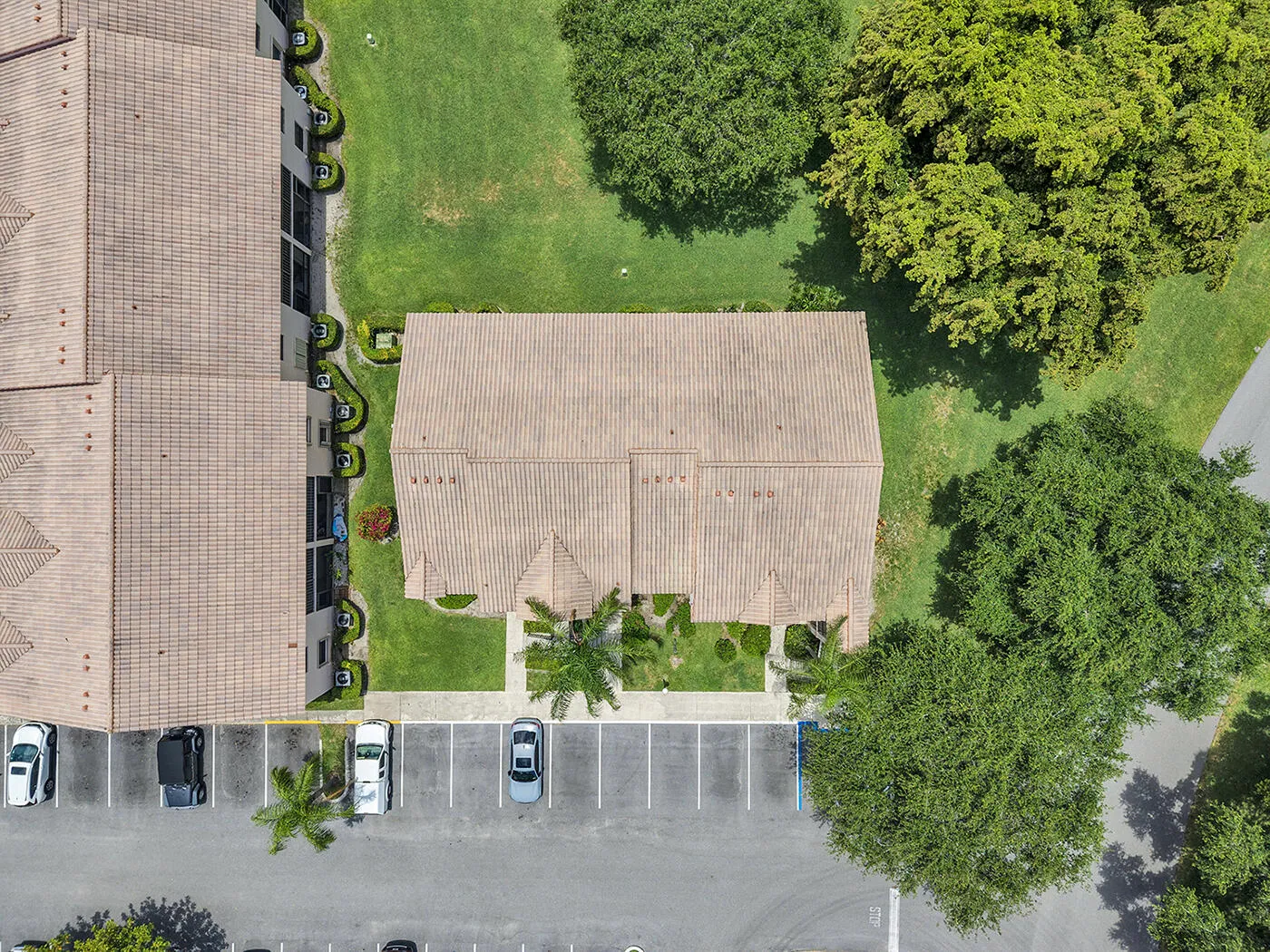 Sky View
