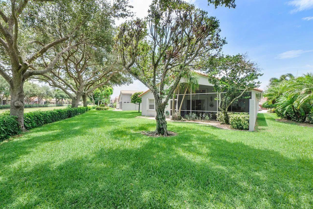 Spacious Backyard