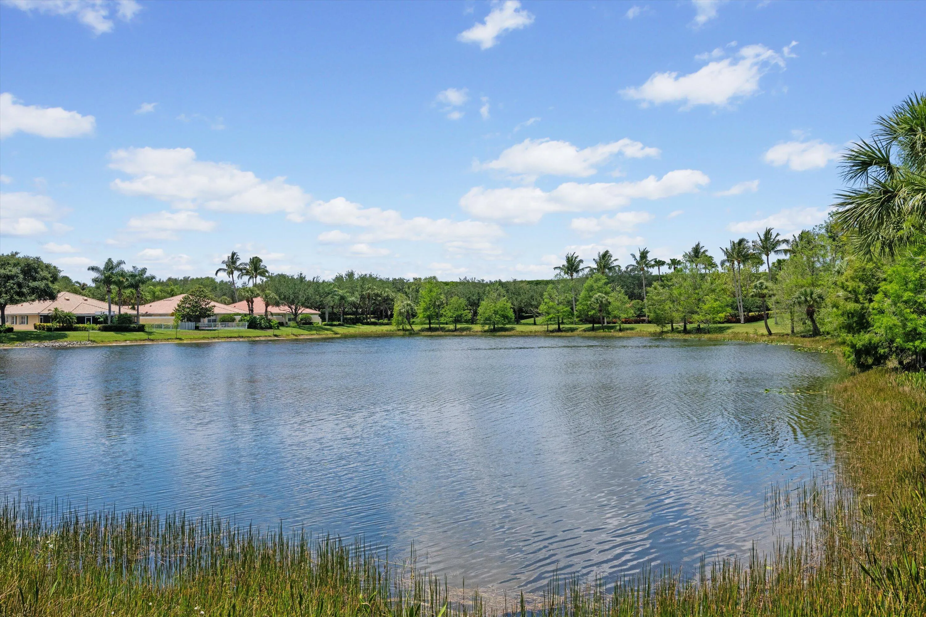36-DSC_3607