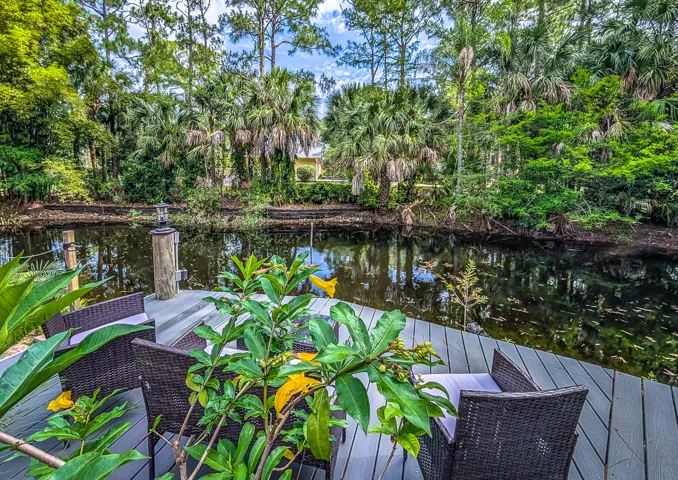 41-Back yard