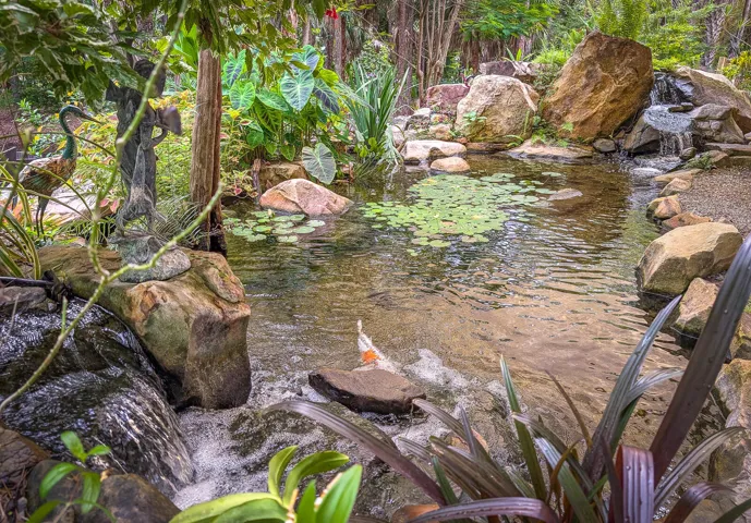 36-Koi Pond