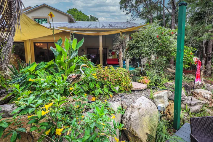 46-Back yard