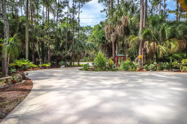 61-Main driveway