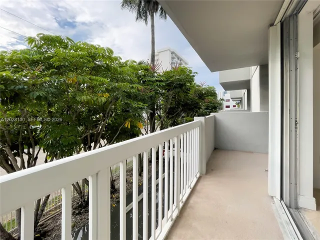 Tree lined view